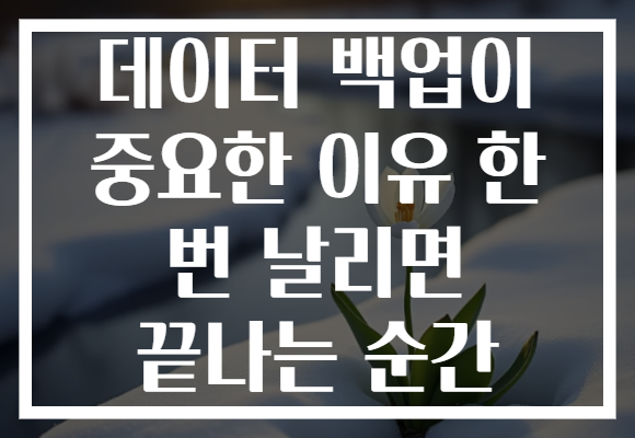 데이터 백업이 중요한 이유 한 번 날리면 끝나는 순간