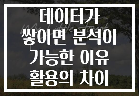 데이터가 쌓이면 분석이 가능한 이유 활용의 차이