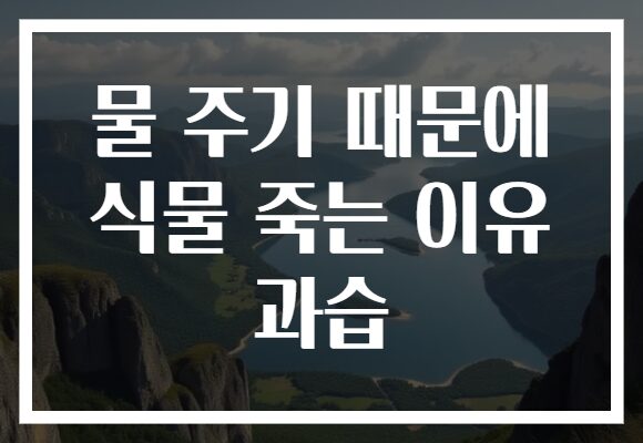 물 주기 때문에 식물 죽는 이유 과습
