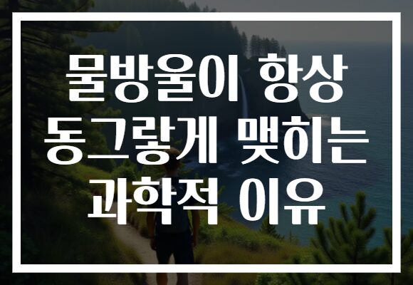 물방울이 항상 동그랗게 맺히는 과학적 이유