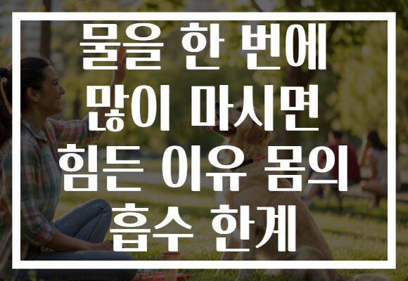 물을 한 번에 많이 마시면 힘든 이유 몸의 흡수 한계