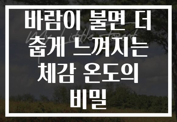바람이 불면 더 춥게 느껴지는 체감 온도의 비밀