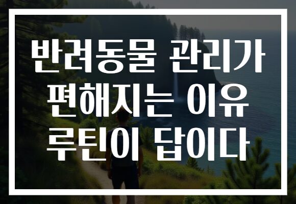 반려동물 관리가 편해지는 이유 루틴이 답이다