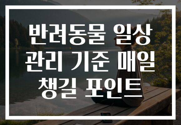 반려동물 일상 관리 기준 매일 챙길 포인트