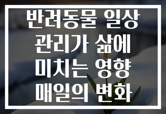 반려동물 일상 관리가 삶에 미치는 영향 매일의 변화