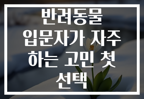 반려동물 입문자가 자주 하는 고민 첫 선택