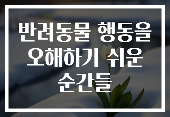 반려동물 행동을 오해하기 쉬운 순간들