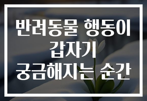 반려동물 행동이 갑자기 궁금해지는 순간