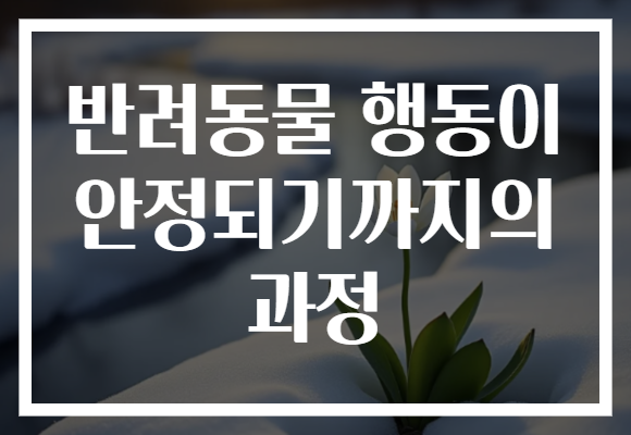 반려동물 행동이 안정되기까지의 과정
