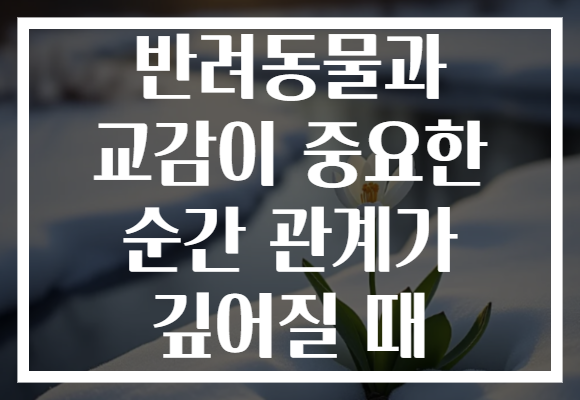 반려동물과 교감이 중요한 순간 관계가 깊어질 때
