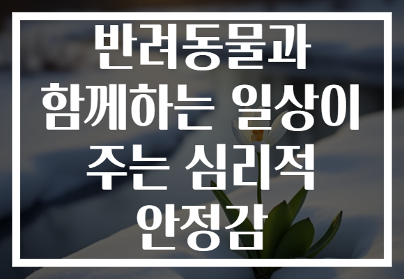 반려동물과 함께하는 일상이 주는 심리적 안정감