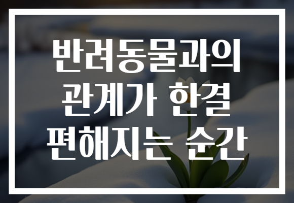 반려동물과의 관계가 한결 편해지는 순간