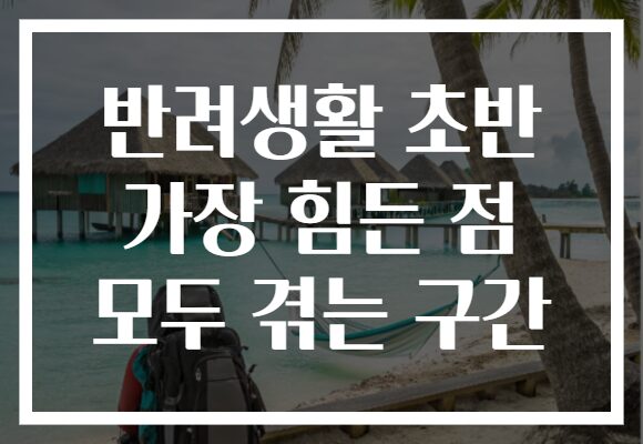 반려생활 초반 가장 힘든 점 모두 겪는 구간