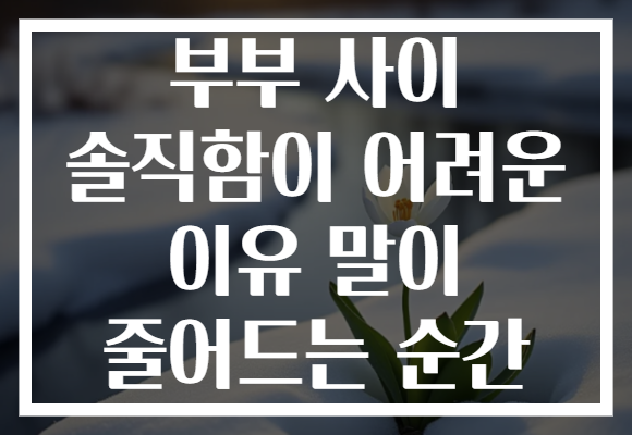 부부 사이 솔직함이 어려운 이유 말이 줄어드는 순간