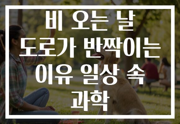 비 오는 날 도로가 반짝이는 이유 일상 속 과학