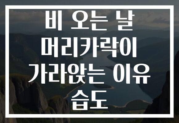 비 오는 날 머리카락이 가라앉는 이유 습도