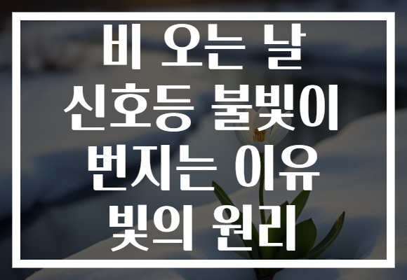 비 오는 날 신호등 불빛이 번지는 이유 빛의 원리