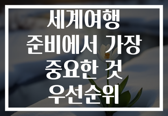 세계여행 준비에서 가장 중요한 것 우선순위