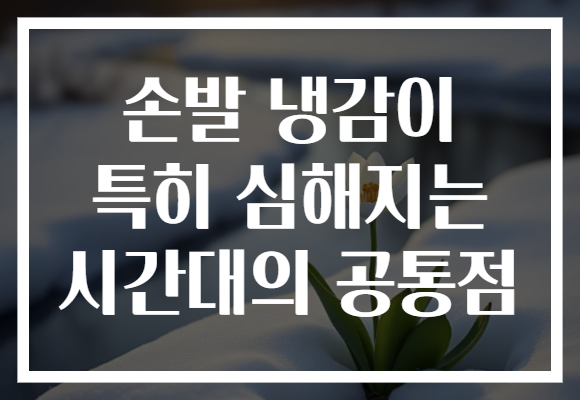 손발 냉감이 특히 심해지는 시간대의 공통점