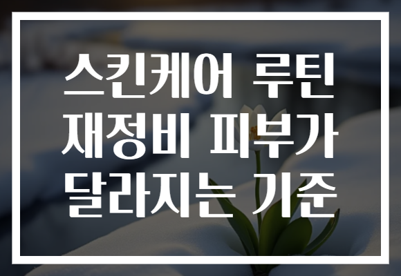 스킨케어 루틴 재정비 피부가 달라지는 기준