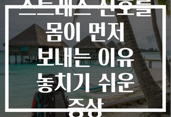 스트레스 신호를 몸이 먼저 보내는 이유 놓치기 쉬운 증상