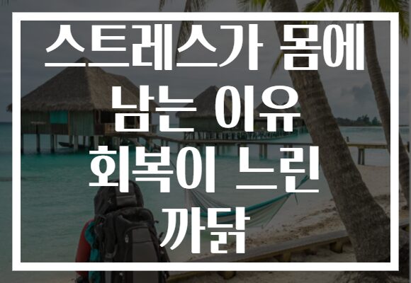 스트레스가 몸에 남는 이유 회복이 느린 까닭
