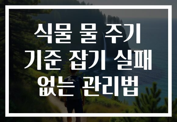 식물 물 주기 기준 잡기 실패 없는 관리법