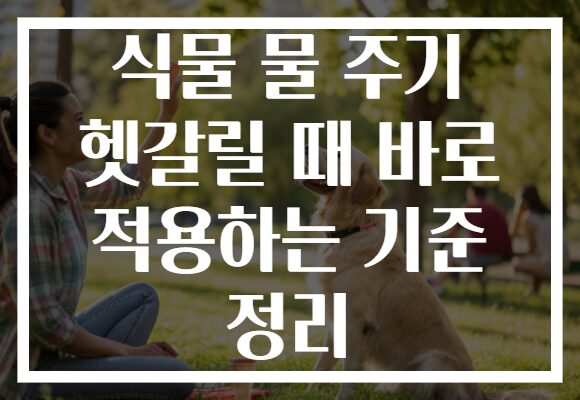식물 물 주기 헷갈릴 때 바로 적용하는 기준 정리