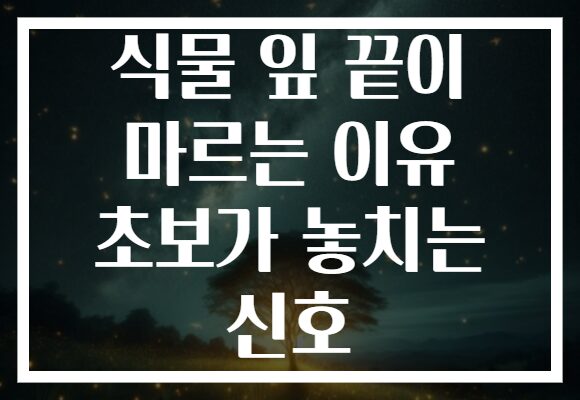 식물 잎 끝이 마르는 이유 초보가 놓치는 신호