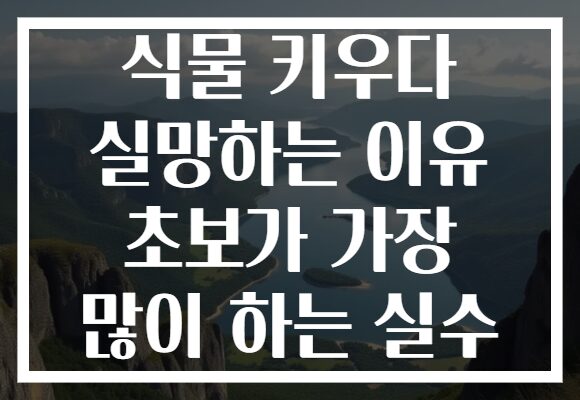 식물 키우다 실망하는 이유 초보가 가장 많이 하는 실수