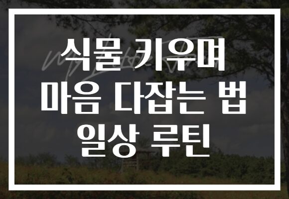 식물 키우며 마음 다잡는 법 일상 루틴