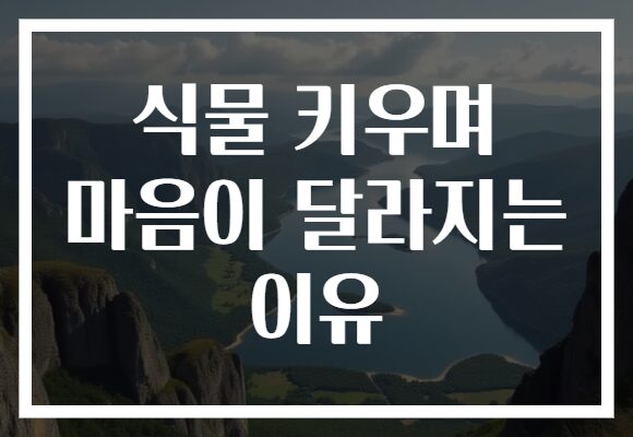 식물 키우며 마음이 달라지는 이유