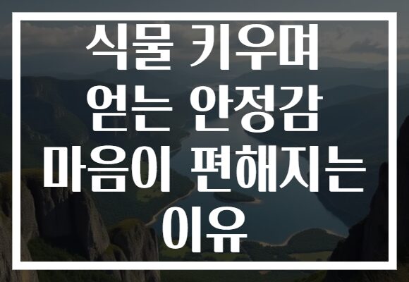 식물 키우며 얻는 안정감 마음이 편해지는 이유