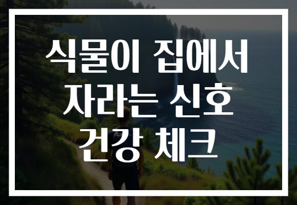 식물이 집에서 자라는 신호 건강 체크