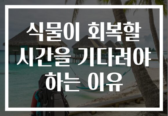 식물이 회복할 시간을 기다려야 하는 이유