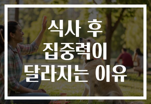 식사 후 집중력이 달라지는 이유