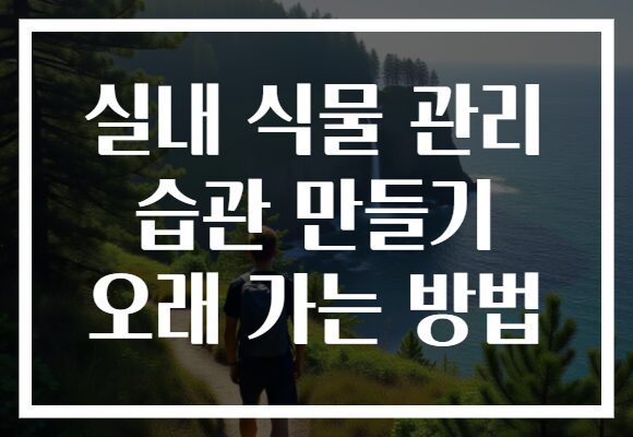 실내 식물 관리 습관 만들기 오래 가는 방법