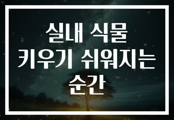 실내 식물 키우기 쉬워지는 순간