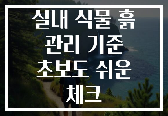 실내 식물 흙 관리 기준 초보도 쉬운 체크