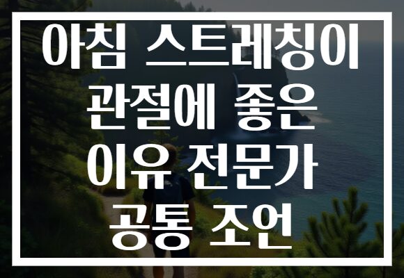 아침 스트레칭이 관절에 좋은 이유 전문가 공통 조언