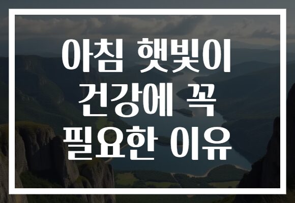 아침 햇빛이 건강에 꼭 필요한 이유