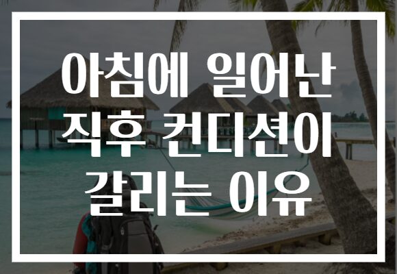 아침에 일어난 직후 컨디션이 갈리는 이유