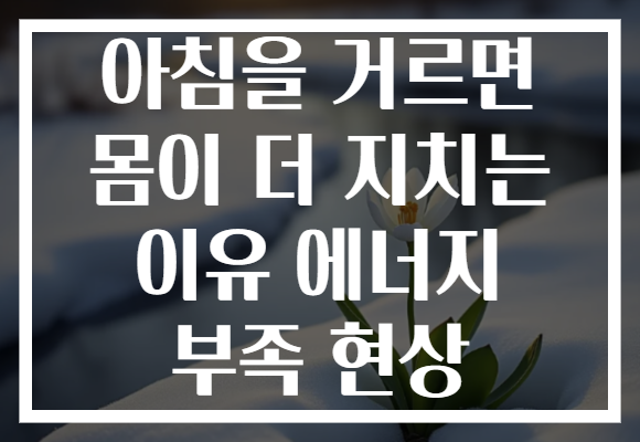 아침을 거르면 몸이 더 지치는 이유 에너지 부족 현상