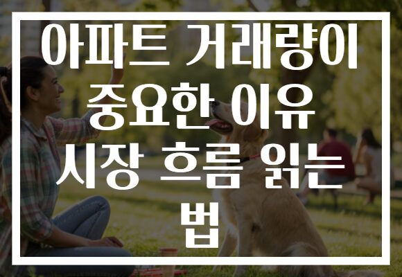 아파트 거래량이 중요한 이유 시장 흐름 읽는 법