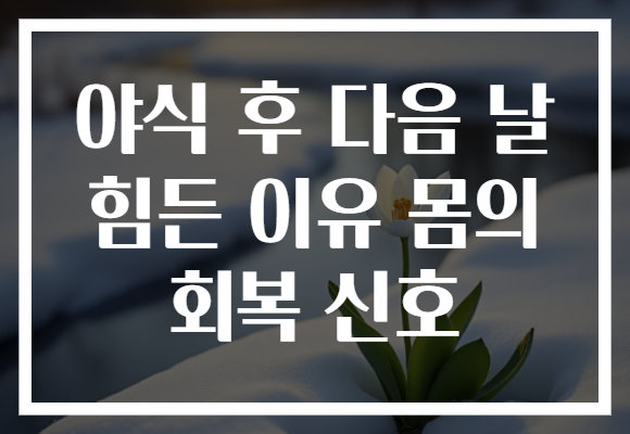 야식 후 다음 날 힘든 이유 몸의 회복 신호