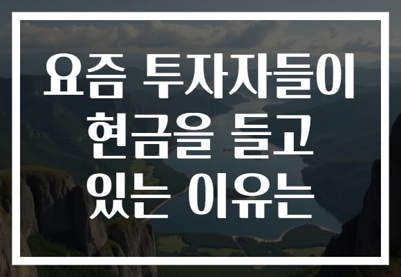 요즘 투자자들이 현금을 들고 있는 이유는
