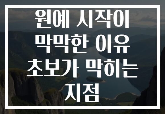 원예 시작이 막막한 이유 초보가 막히는 지점