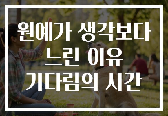 원예가 생각보다 느린 이유 기다림의 시간