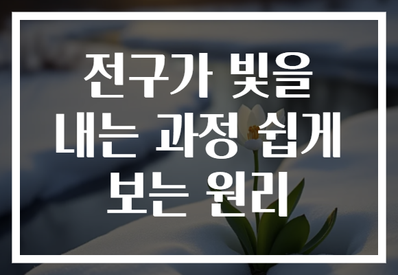전구가 빛을 내는 과정 쉽게 보는 원리