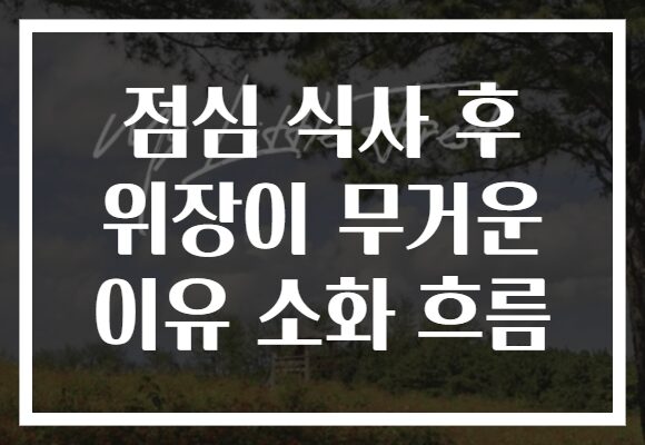 점심 식사 후 위장이 무거운 이유 소화 흐름